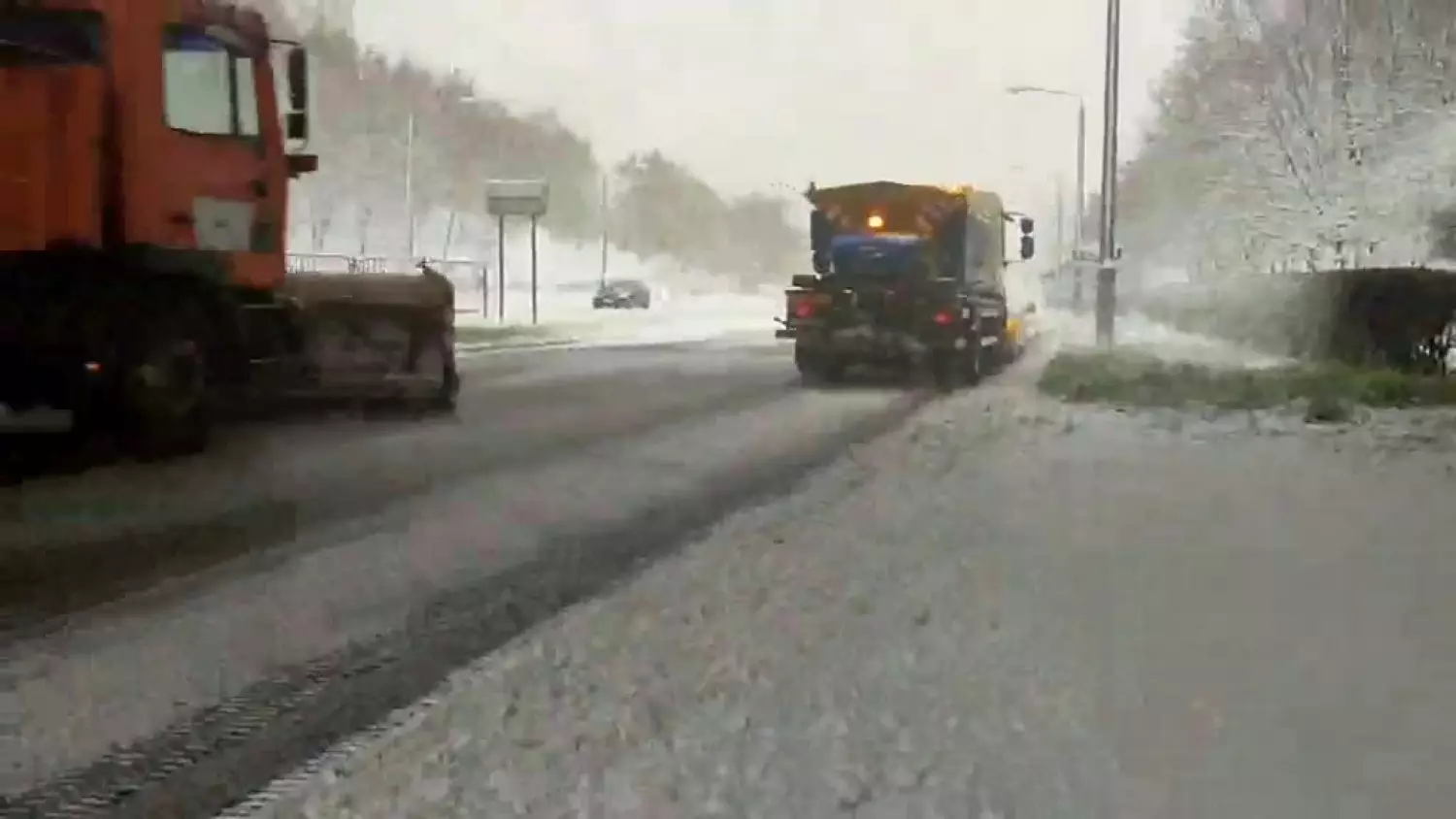 584382356-25417733767860712-1553246191938592007-n.mp4