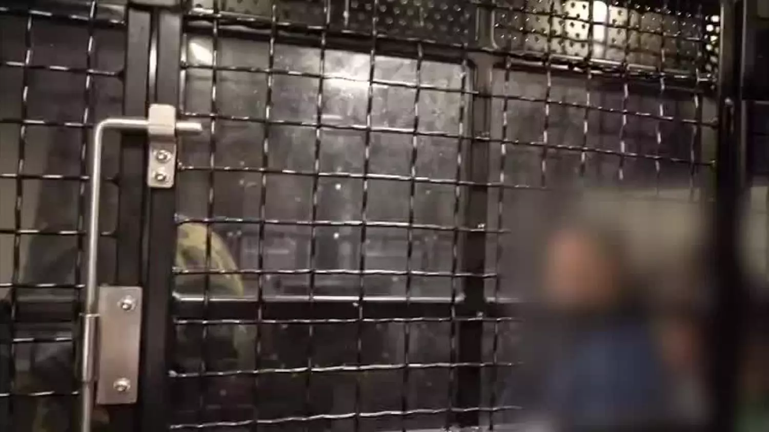 Ekstradycja Marcina Ż. przemytnika z Hrubieszowa