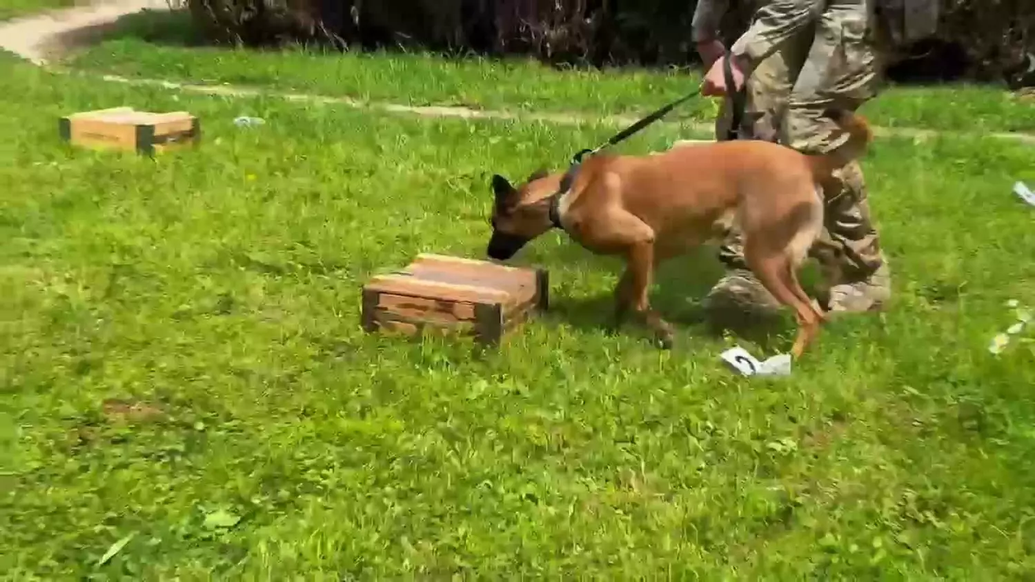 Wojewódzki finał Kynologicznych Mistrzostw Policji.